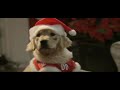 The official trailer for Disney's Santa Buddies, on Disney DVD this winter.