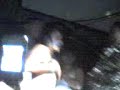 viridiana 44 viridiana 44