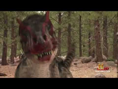 Ceratosaurus