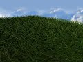 grass animation