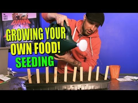 how to grow own food