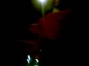 If tomorrow never comes..... @iit roorkee