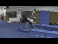 Learning Gainers!