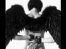 this movie was made in memory of all those angels we lost.

song: angels
artist: beverly mitchell
pictures: unknown artists, google.

it's my first movie, so don't be so harsh in comments!
