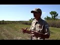 goats-on-weeds-nev-state-parks-use-goats-for-weed-control.html