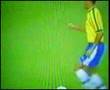 edmundo animal