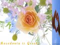 a nice song from the Greek singer Dalaras called IN MACEDONIA OF OLD TIMES! enjoy it...~~ In Macedonia of the old days, I got to know the mother of Alexander She had a talk with me in the fields And she held vigils with sorceresses Ah, Macedonia, a thousand times beautiful, Why do you weep and melt like a wax candle? I have only one darling son, and he has gone away to the East. Awaiting him are dangers and pitfalls, peoples' black words and disasters, all alone he endures them and passes ...