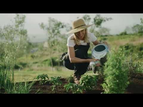 Video Prodej dvou pozemků v Kryrech – ideální pro rekreaci!