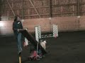AKC Standard Nov. 11, 2007