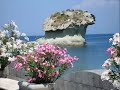 Hotel Ischia Alberghi Offerte su: www.ischiatravelweb.it