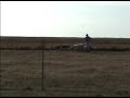German Shepherd Sheep Herding HT