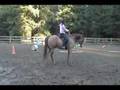 Parelli Level 2 Assessment-Finesse