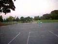 fwong and lippyson go to the park!