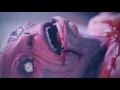 Necro - Toxsik Waltz Necro - Toxsik Waltz