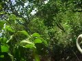 Trilha MORRO DA POVOAÇÂO ( Pedro Henrique}