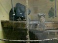 Dublin Zoo 2