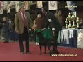 lomas de zamora kennel club 03/03