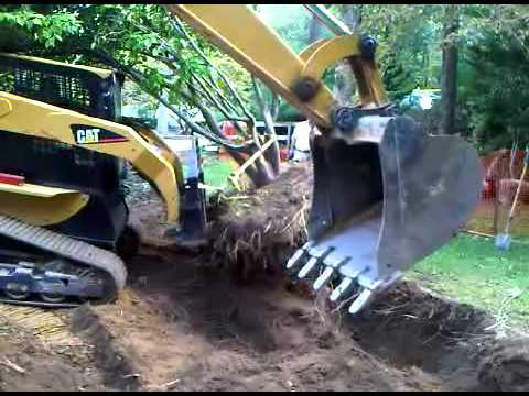 LD Site Prep Moving the Dogwood3
