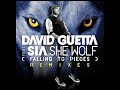She Wolf (Falling to Pieces) [feat. Sia] – David Guetta