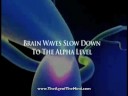 Super Mind Evolution System
