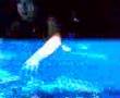 DJ-Yoji-Biomehanika-