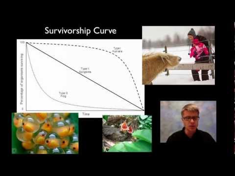 Selection - Paul Andersen explains the differences between an r and a K selected species. He starts with a brief description of population growth noting the importance o...
