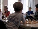 Grand Prix Zukertort 2008