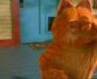 s�per kedi garfield