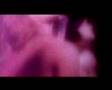 Samer Issa - Busted