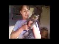 miando com o Milton