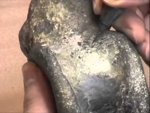 Dinosaur vertebra