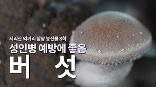 지리산 먹거리 함양 농산물 8회 버섯