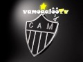 GALO FORTE E VINGADOR