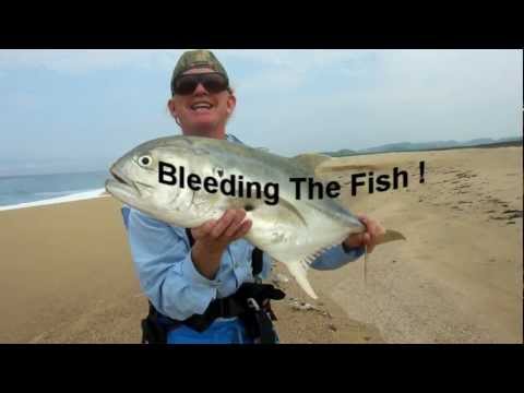 how to bleed flounder