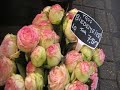 Bloemenmarkt Amsterdam Holland