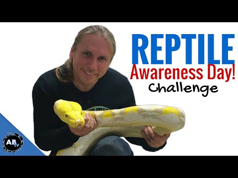 YouTube reptile video