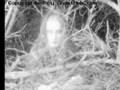 Scary Ghost Pictures