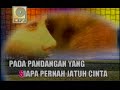 Tetty Kadi - Siapa Pernah Jatuh Cinta