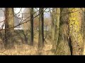 Isar - Plattling