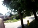 pure summer