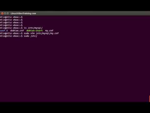 how to locate my.cnf file