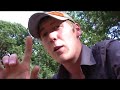 California in Cold Blood - Western Rattlesnake Trio PART 1
