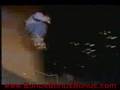 Best skateboard tricks ever
