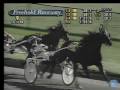 IN ETHAN'S HONOR racing at Freehold Raceway on October 15, 2008