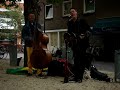 written by the high priests of vout, slim gaillard and slam stewart. recorded outdoors in delft with ludo deckers on bass. ry cooder has a shot at this on a bootleg with david lindley!!