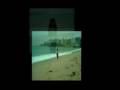 Gatoidiota - Las palabras que me invento