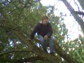 falling out of a tree