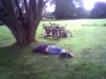 falling out of a tree