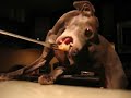 eating-fondue.html
