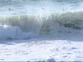 Bodyboard Anglet shorebreak